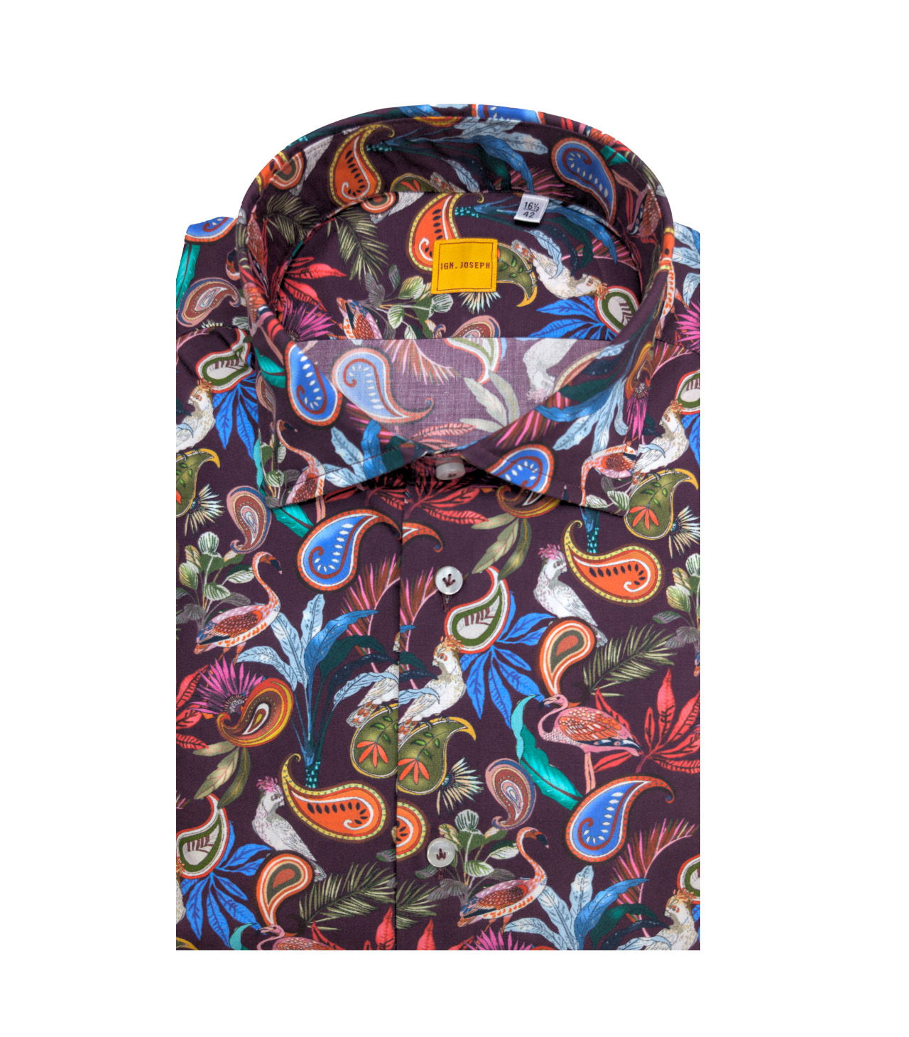 IGN Joseph Hemd "Haway"