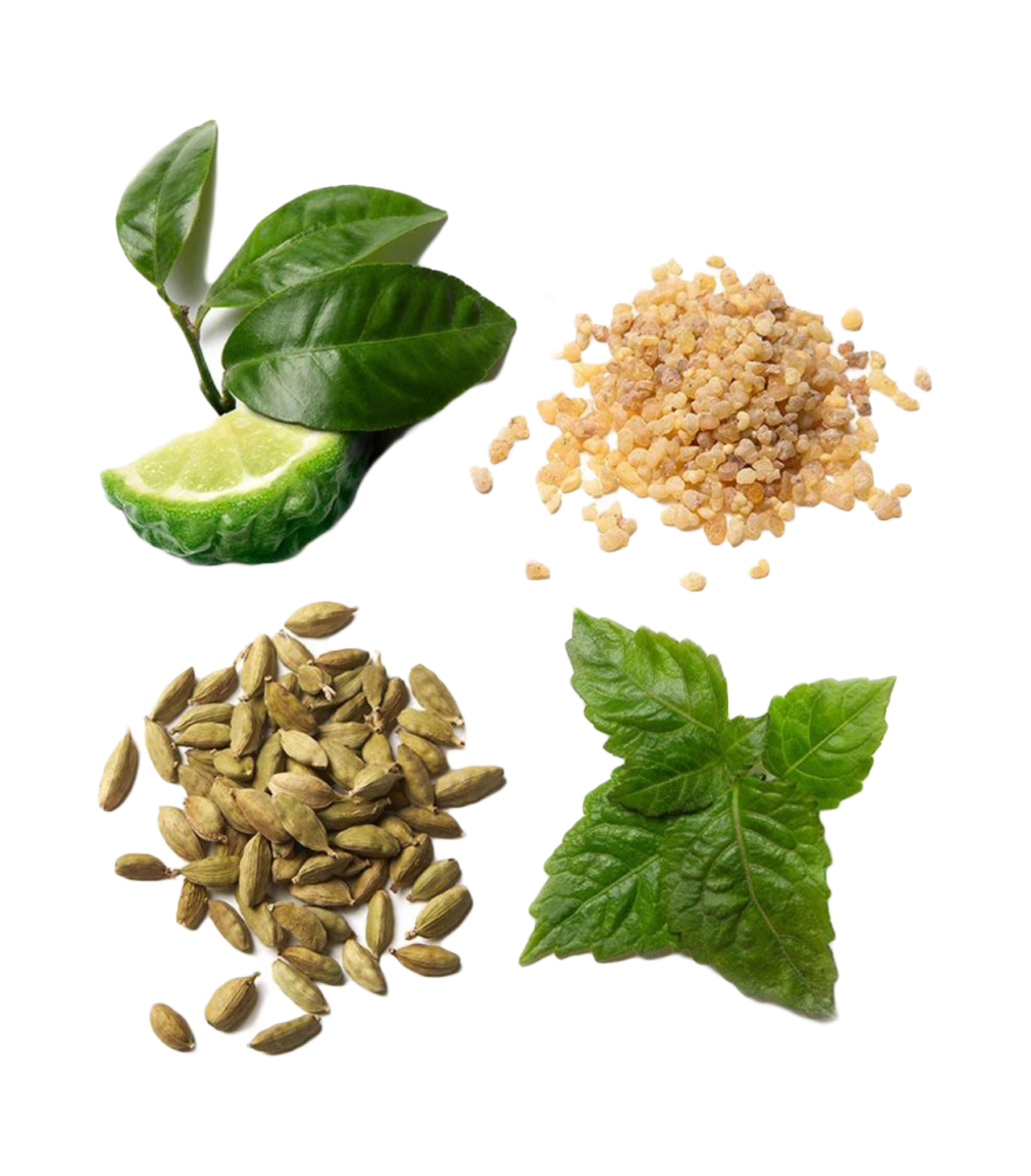 Brioni Eau de Parfum Essentiel 100 ml